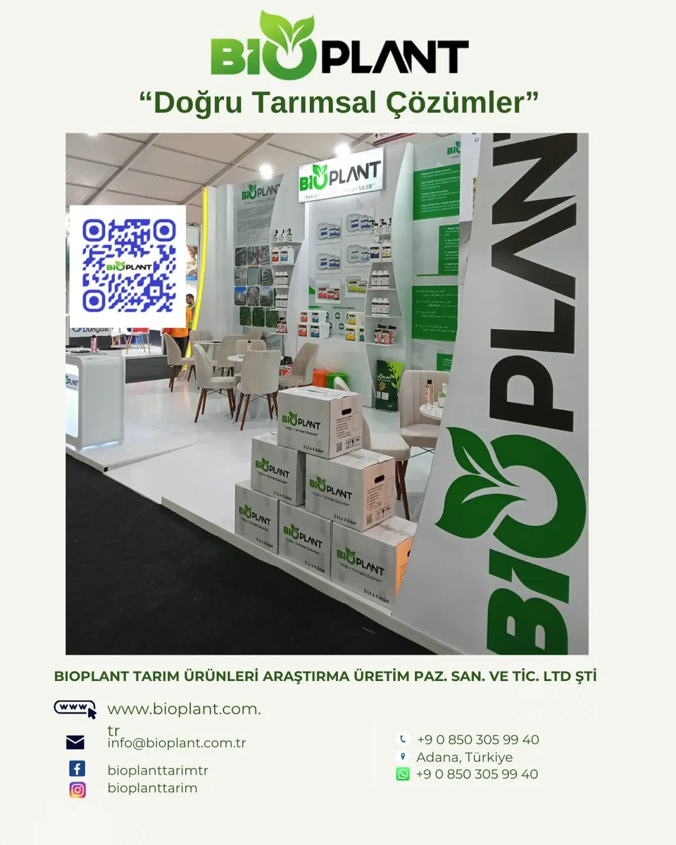 Fuar standı