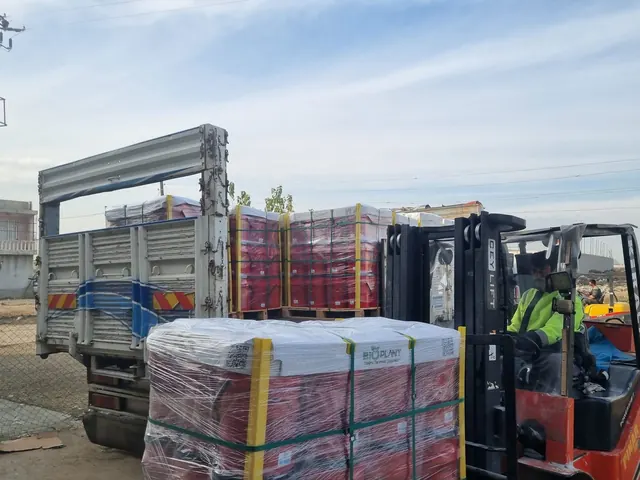 Export loading — forklift and truck