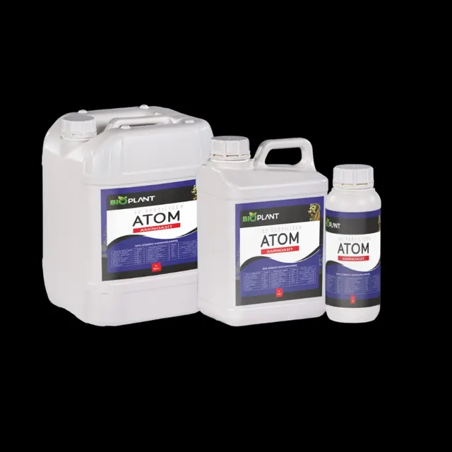 ATOM